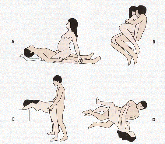 sex positions when pregnant